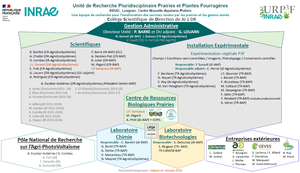 organigramme_29sept2024.png