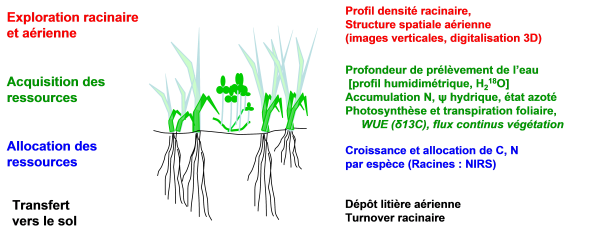 fig1